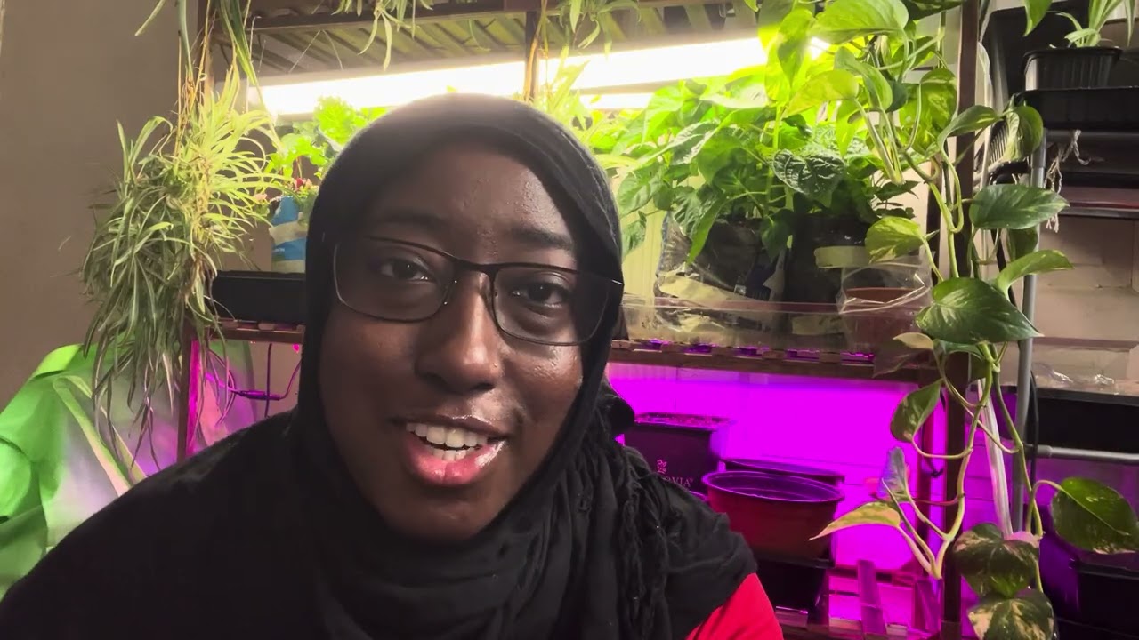 Path to Engineering…So far | Black Women in STEM
