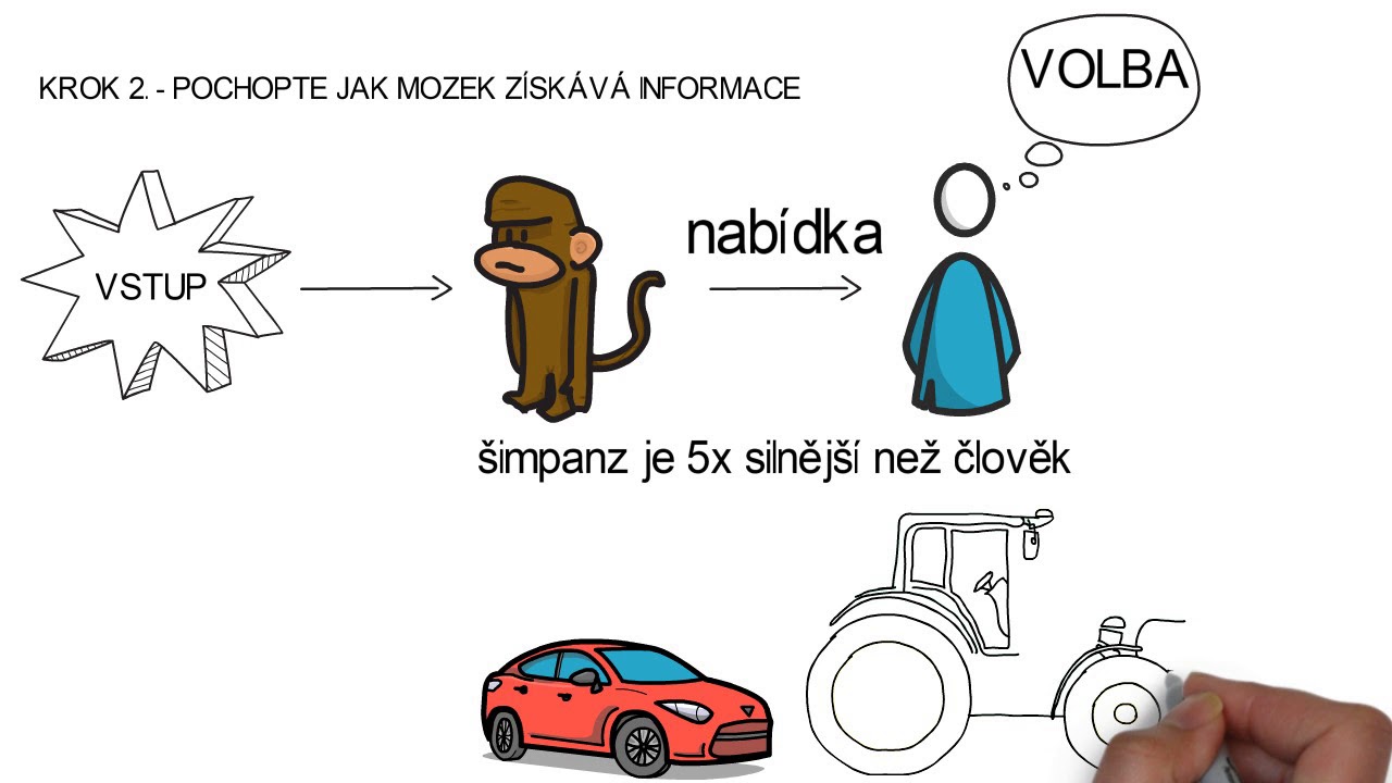 Než začneme svého šimpanze zvládat....