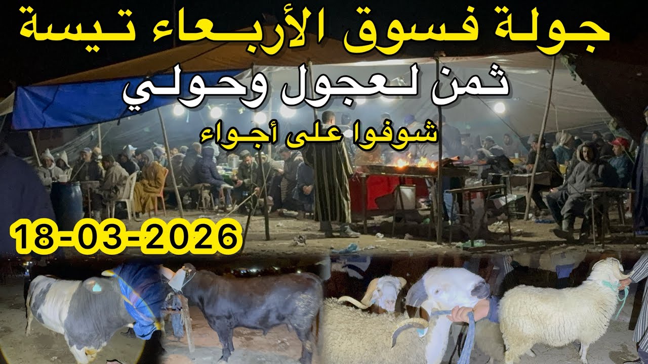 جولة فسوق أربعاء تيسة ثمن لعجول وحولي شوفوا على أجواء 18/03/2026