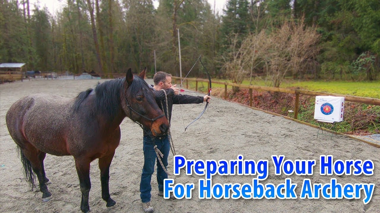 Preparing Your Horse For Horseback Archery