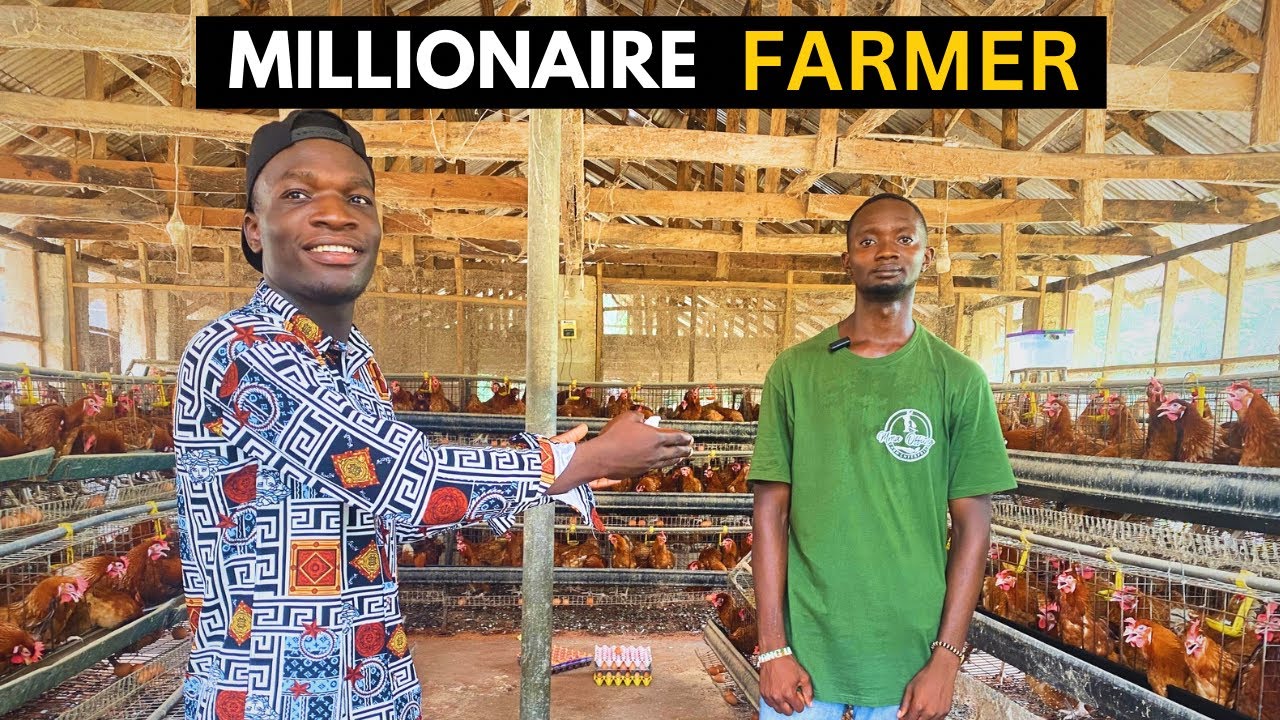 He Started a Mega Poultry Farm in Nigeria