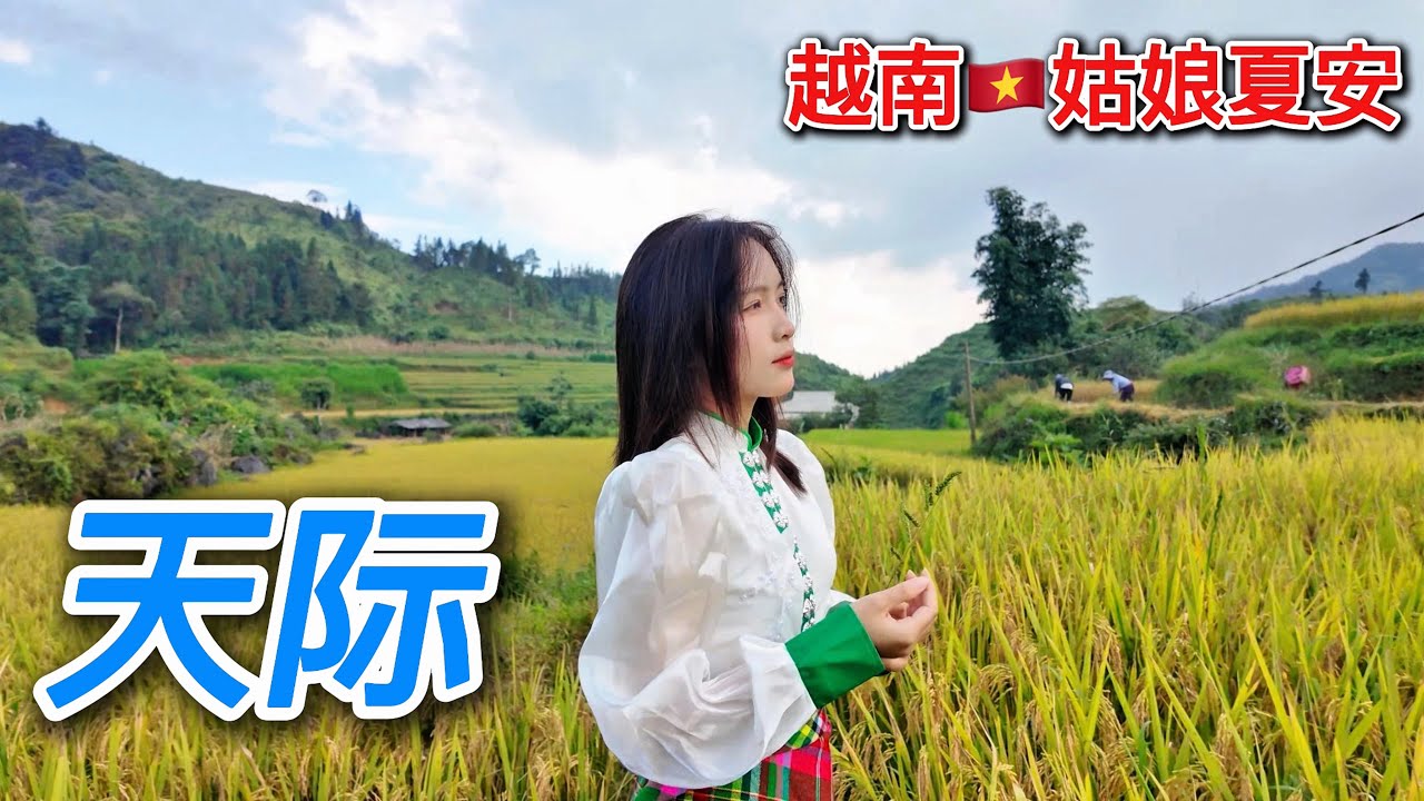 越南苗族團【天際】夏安 COVER 不知道為什麼讓我遇見了你，不知道為什麼讓我愛上了你！