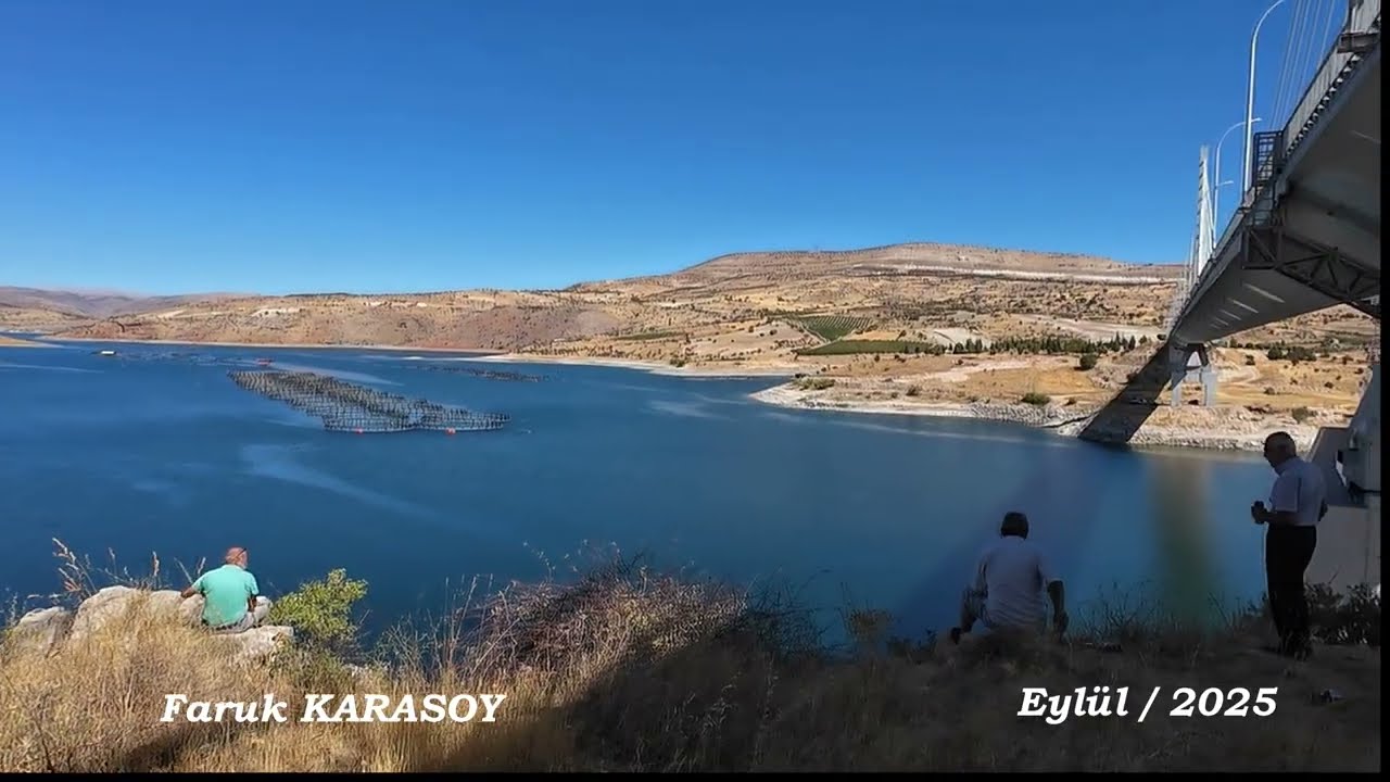 Ağın köprüsü 