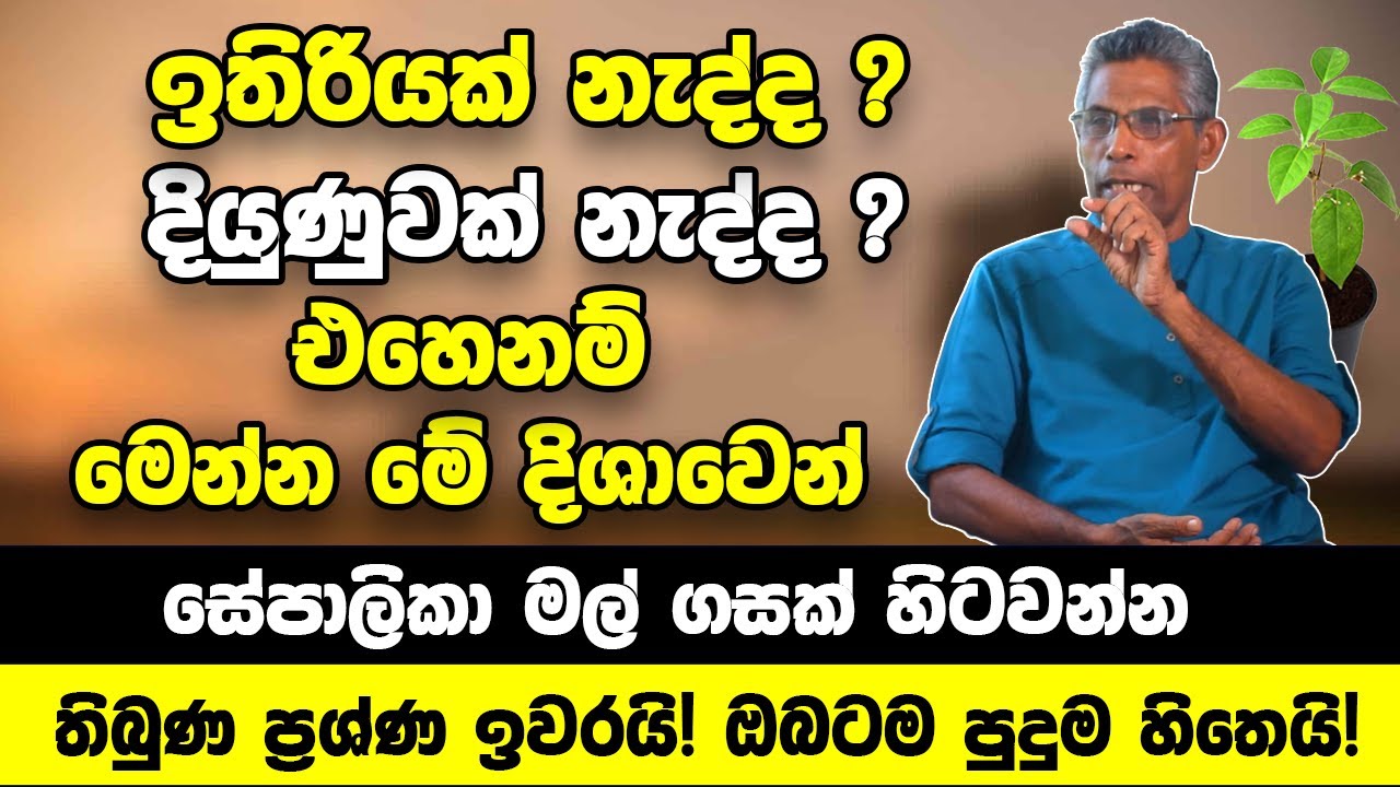 කොච්චර හම්බ කරත් ඉතිරියක් නැද්ද ? එහෙනම් මේ දිශාවෙන් ගෙදර සේපාලිකා මල් ගසක් හිටවන්න |පුදුම හිතෙයි!