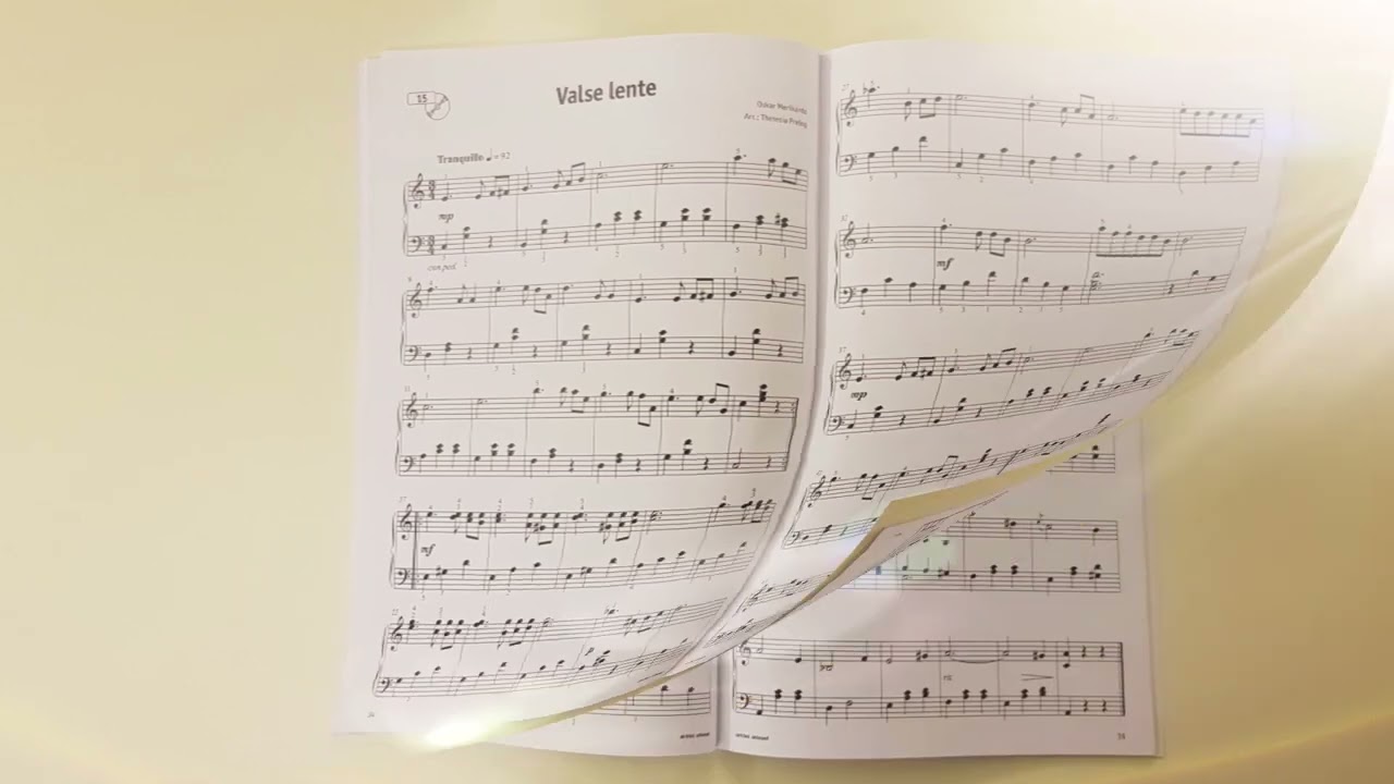24 Meisterwerke der Romantik für Klavier, leicht spielbar arrangiert von T.  Prelog, artist ahead
