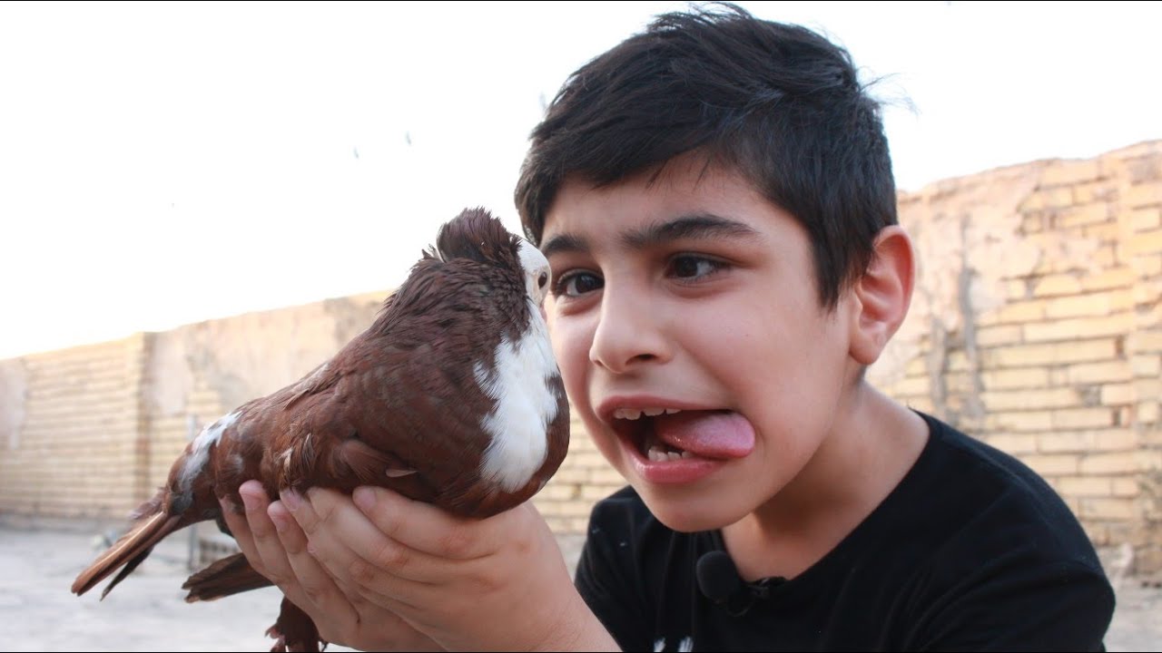 شباوي صار مطيرجي😂موت اخوه بسبب الطيور😢(فلم التسرع)