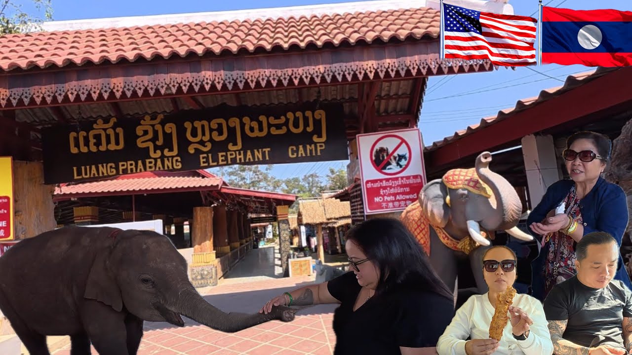 🇺🇸คนอเมริกาตื่นเต้นมาก! ￼ให้อาหารช้างครั้งแรก! 