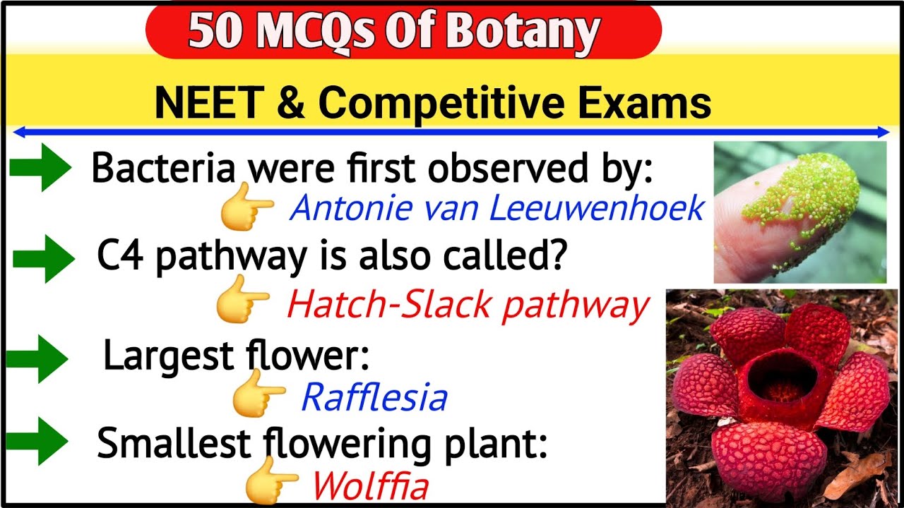 Top-50 MCQs of Botany || for NEET ans SSC 