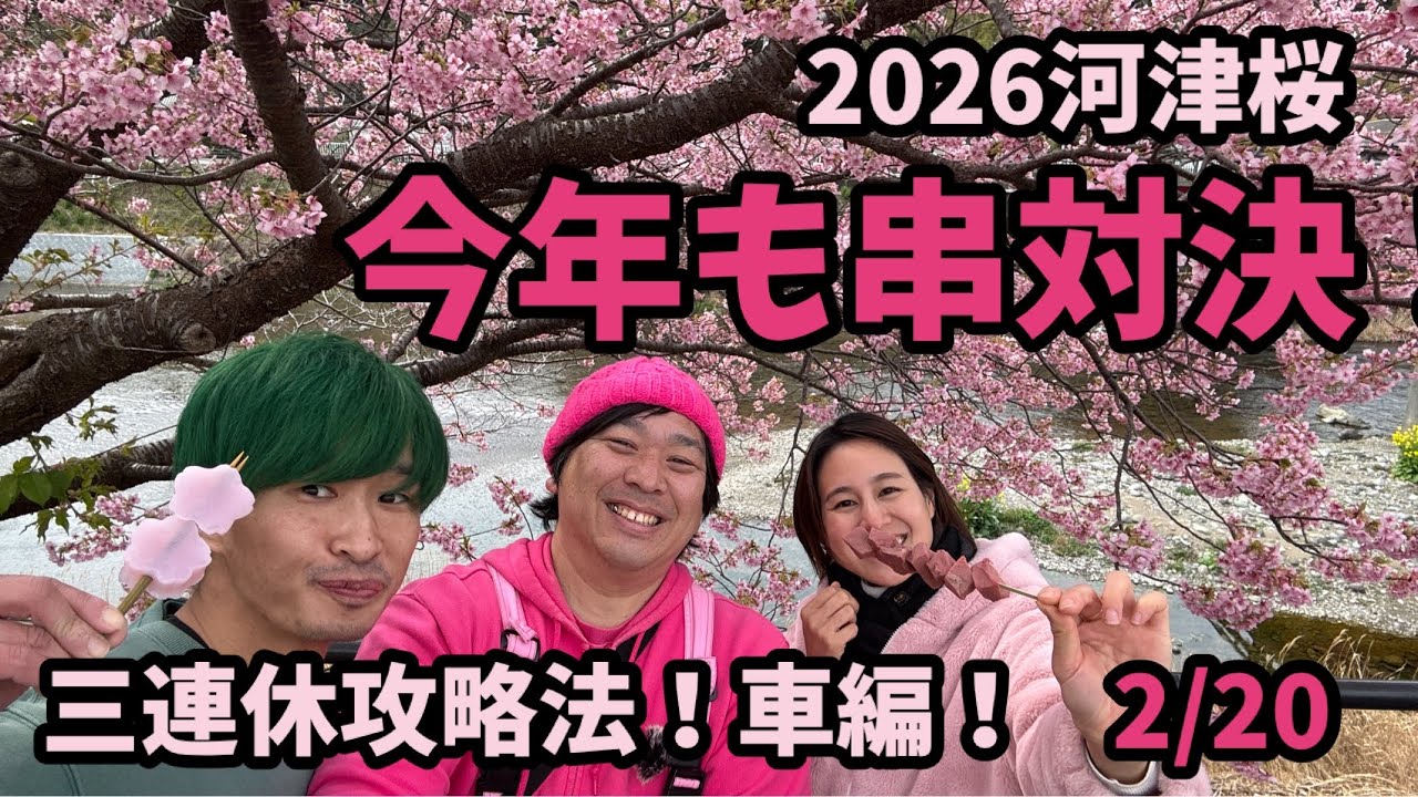 【2026河津桜】 2/20 串対決！三連休攻略法　車編　おすすめスポット　開花情報　開花状況　ライブカメラ kawazu Cherry blossom sakura 開花