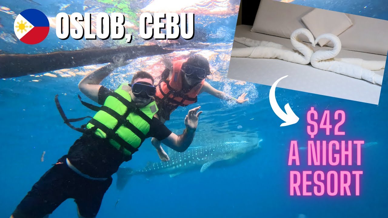 CHEAP $42 Beachfront Resort Hotel Tour in OSLOB, CEBU