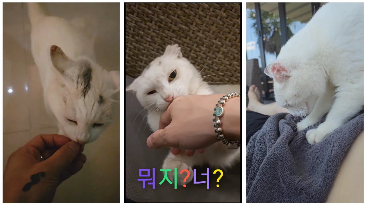 뭐지?너? 2023.09.06 김재중 Kim Jaejoong ジェジュン IG Update