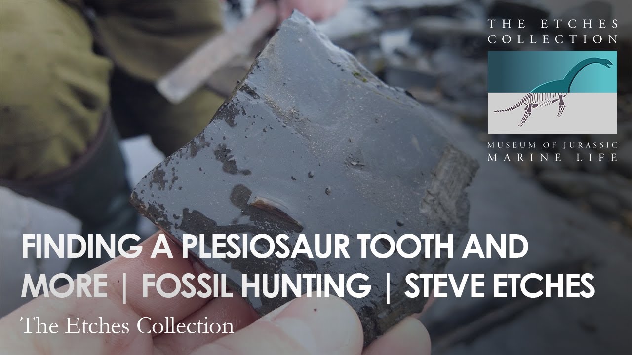 FINDING A PLESIOSAUR TOOTH AND MORE | FOSSIL HUNTING | STEVE ETCHES