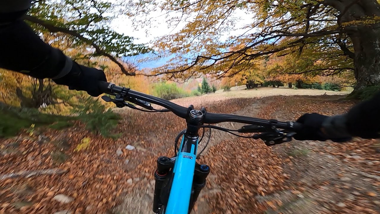 FOX trail Parâng