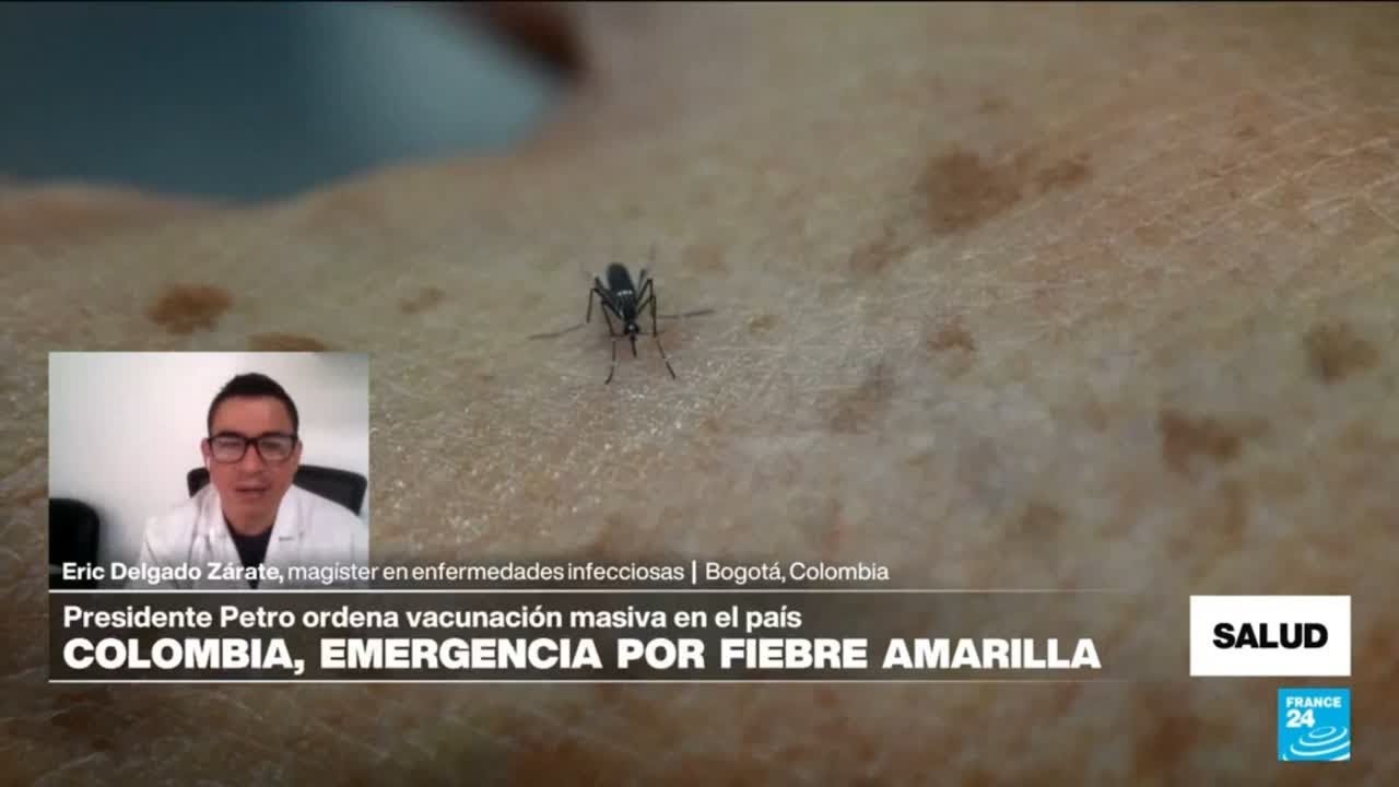 Colombia: emergencia sanitaria y vacunación masiva contra la fiebre amarilla