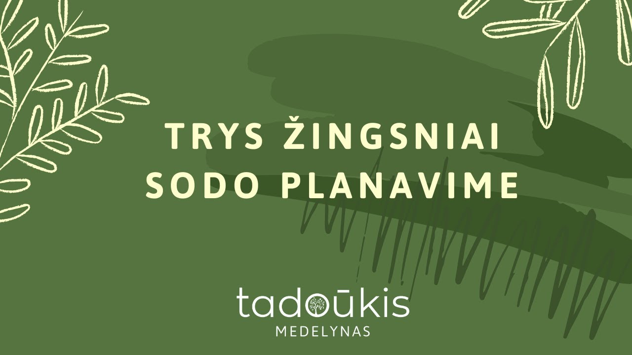 Kaip susiplanuoti sodą patiems? 3 pagrindiniai žingsniai.