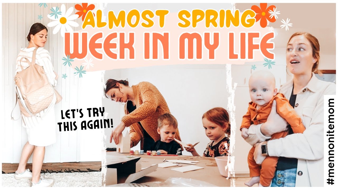 WEEKLY VLOG: spring refresh, gourmet grilled cheese, thrifting, homemaking + grocery shop