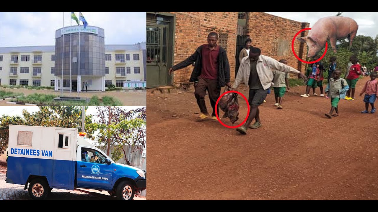 🚨Gatsibo: Abajura barimo umumotari  bigabije urugo rw'umuturage bica ingurube 4😭Bamwe bafashwe