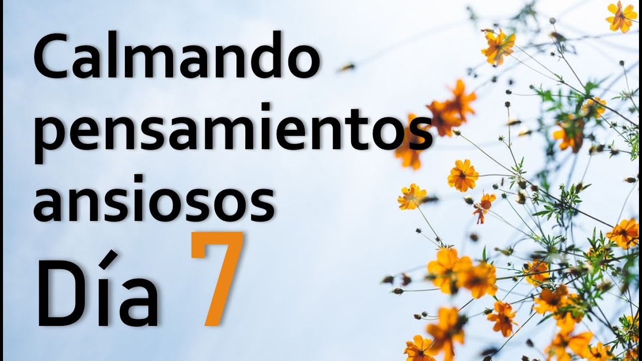 🌿  🌈 DÍA 7