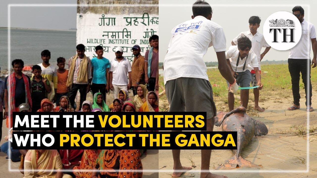 Meet the army of volunteers who protect the Ganga | The Hindu
