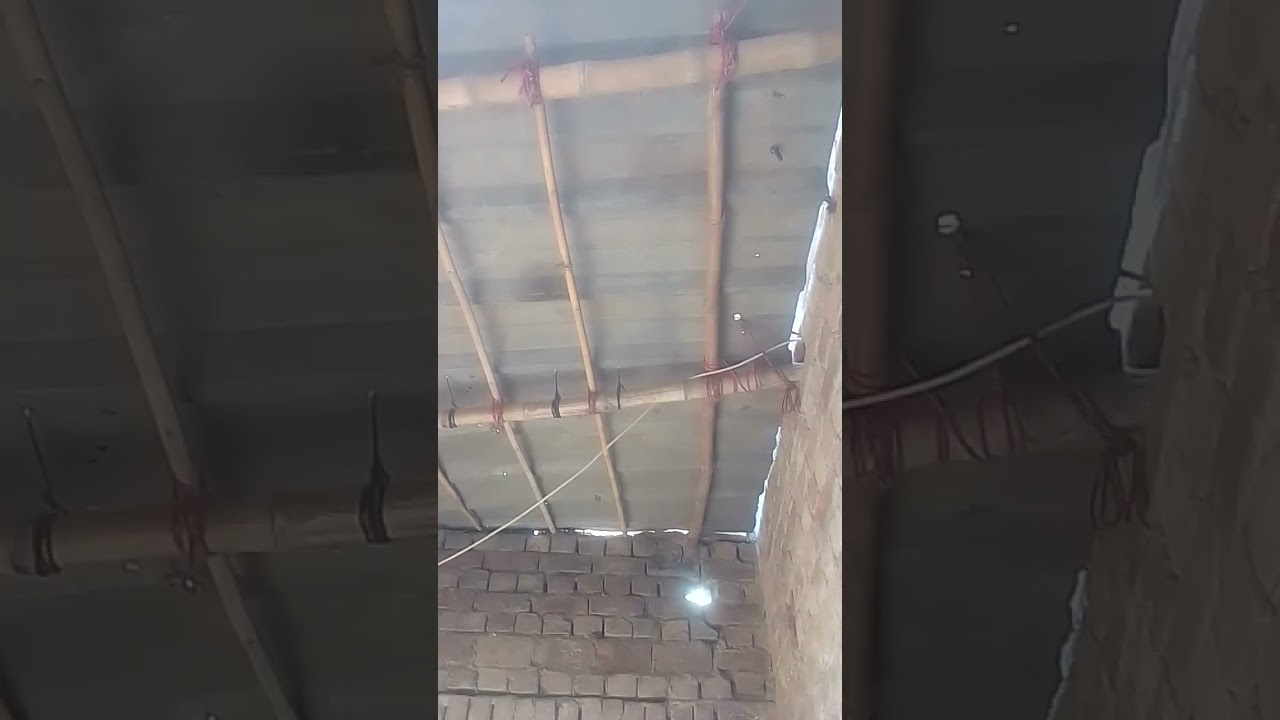 Hen's Cage and Trees مرغیوں کا پنجرہ اور درخت
