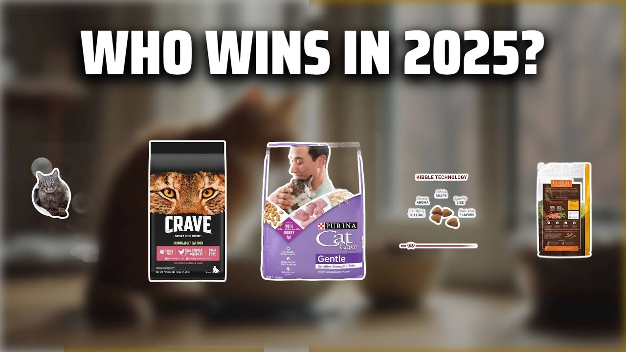 The Top 5 Best Dry Cat Food in 2025 - Must Watch Before Buying!