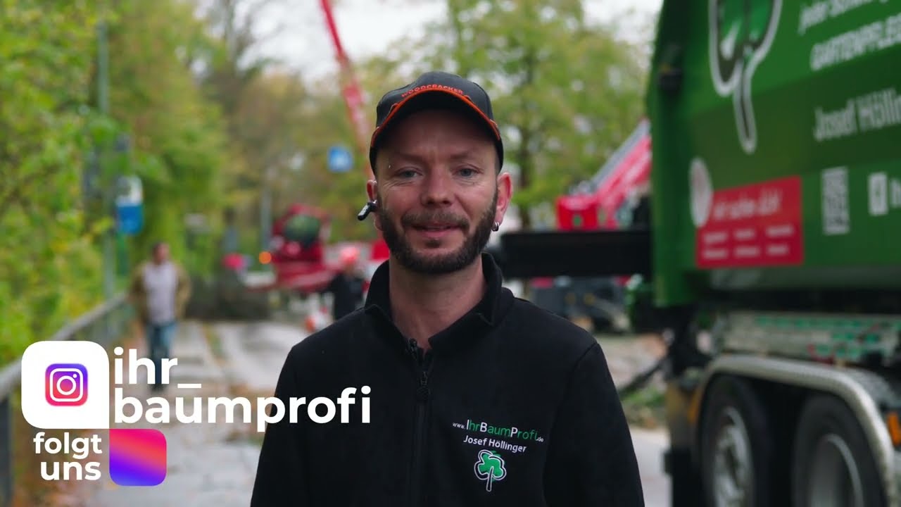 Baumprofi Baumfällung Erding IhrBaumProfi