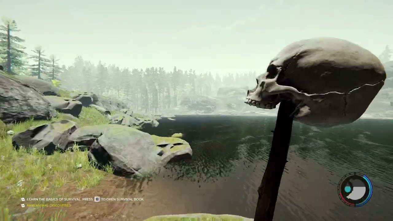 The forest - Fear in its finest form