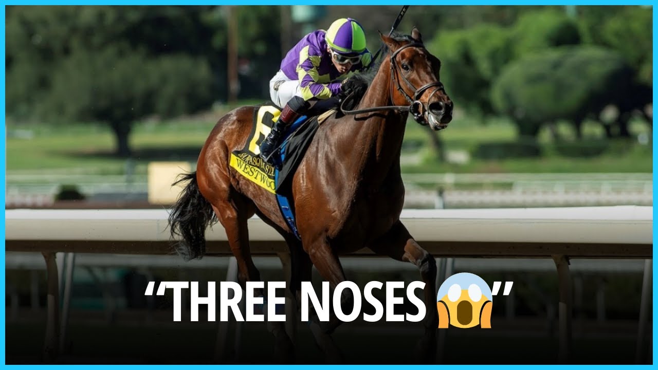 Photo Finish Thriller! Princesa Moche Shows Pure Grit to Win Stakes Race। USA NEWS TODAY