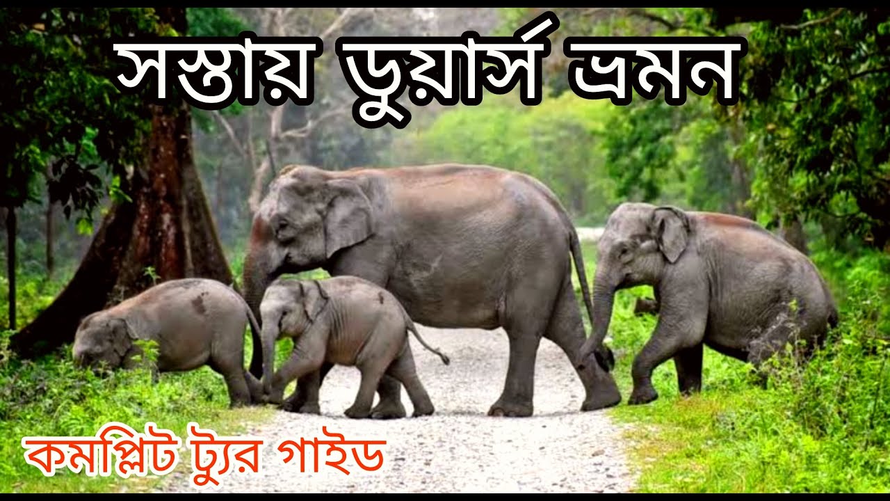 Complete Dooars Tour Plan | Budget Tour Package | Tour Guide in Bengali | Life is a Journey | Duars