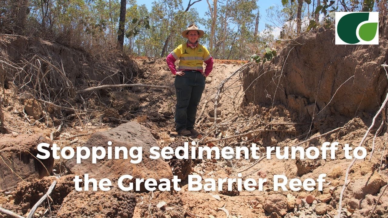 Gully Erosion: Reducing Sediment Runoff to the Reef