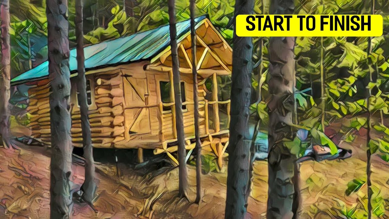 Building an off grid log cabin in the woods (start to finish)
