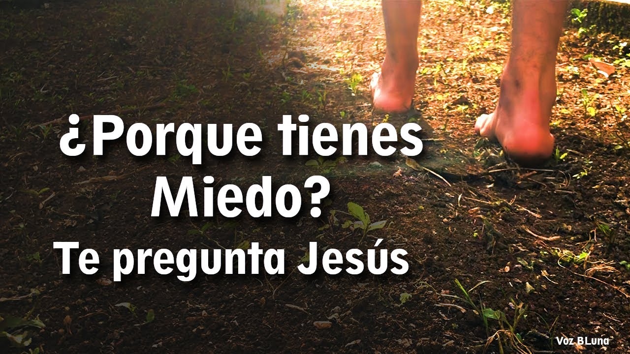 Jesús calma la Tempestad: Reflexión sobre los Miedos