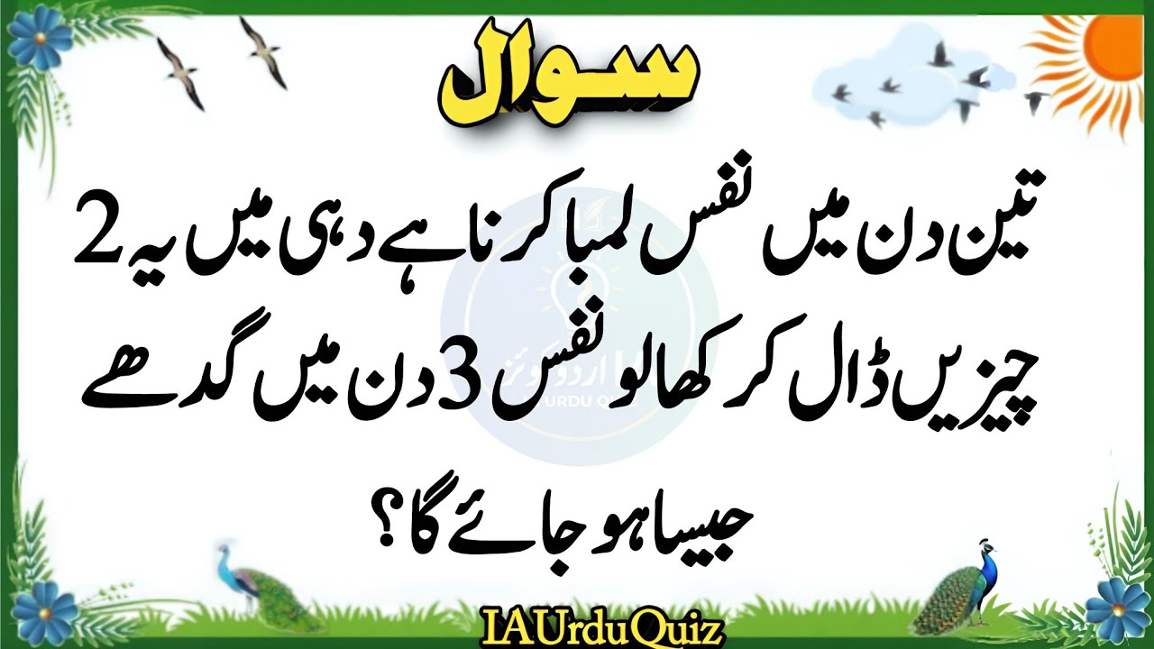 Top Islamic Questions Answers | Islamic Quiz | Islamic Paheliyan | Islami Sawal Jawab | Urdu Quiz