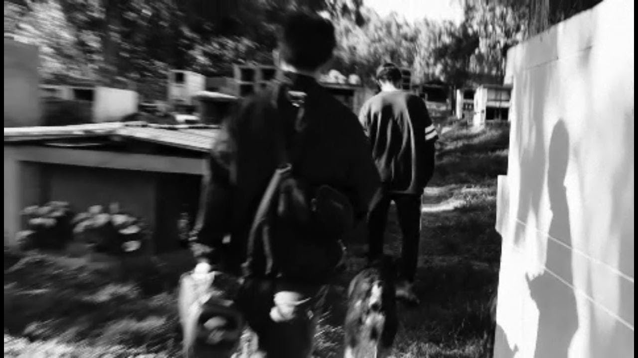 Rfra x Pvca x Alda -  