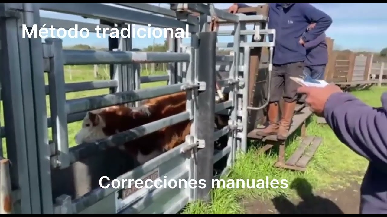 Video 03 2