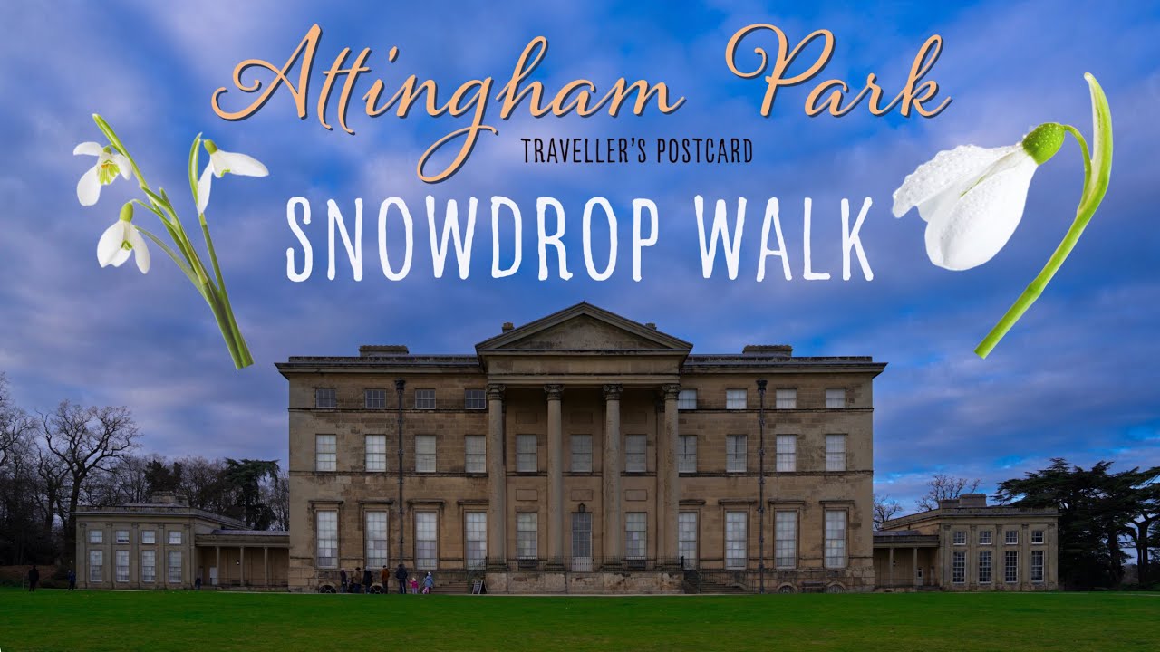 National Trust - Attingham Park - Snowdrop walk in 4k