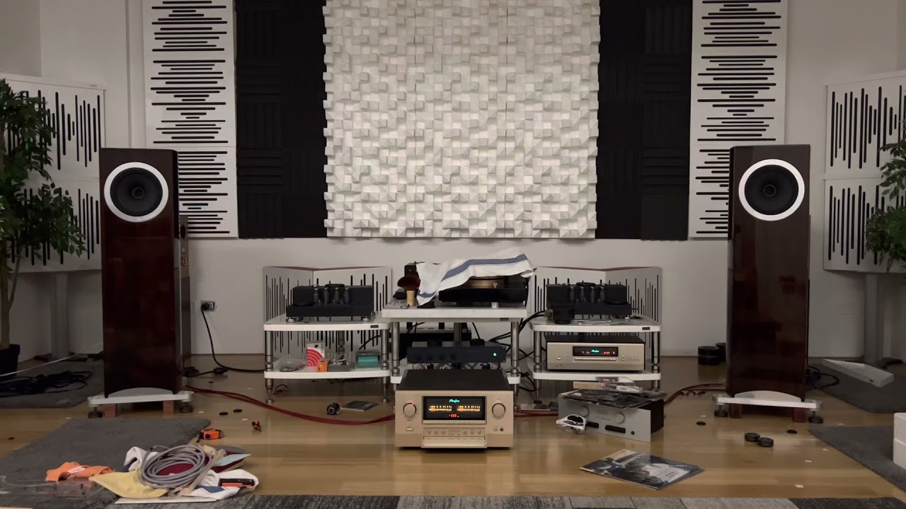 Tannoy dc10a accuphase e800 and dp750