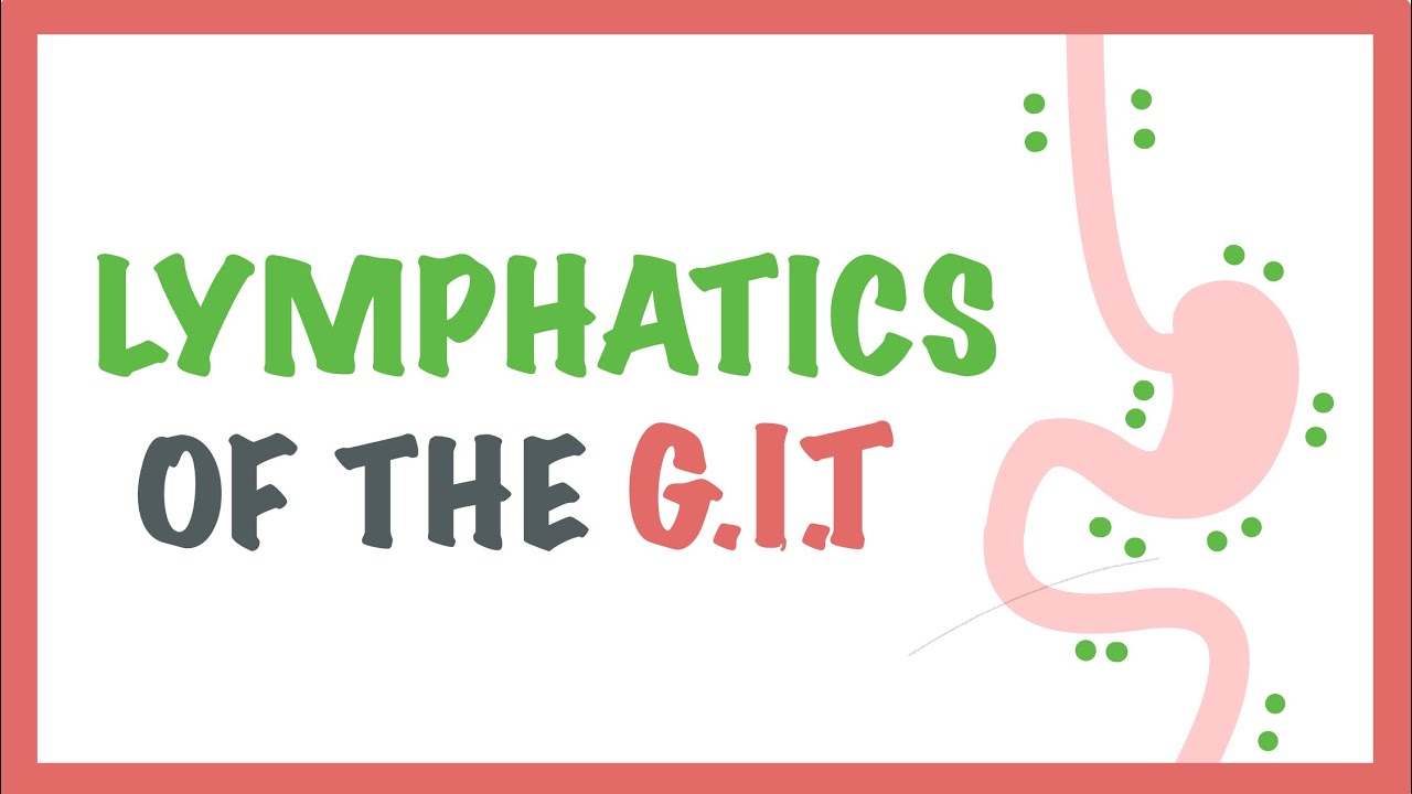 Lymphatic drainage of the GIT