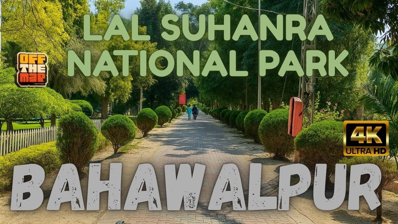 Exploring Lal Suhanra National Park | Hidden Beauty of Bahawalpur 🌴🇵🇰