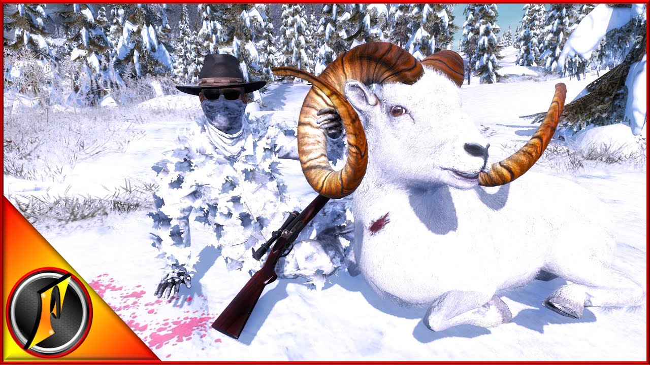 Taking a Look at the New Update + A Huge Dall Sheep!