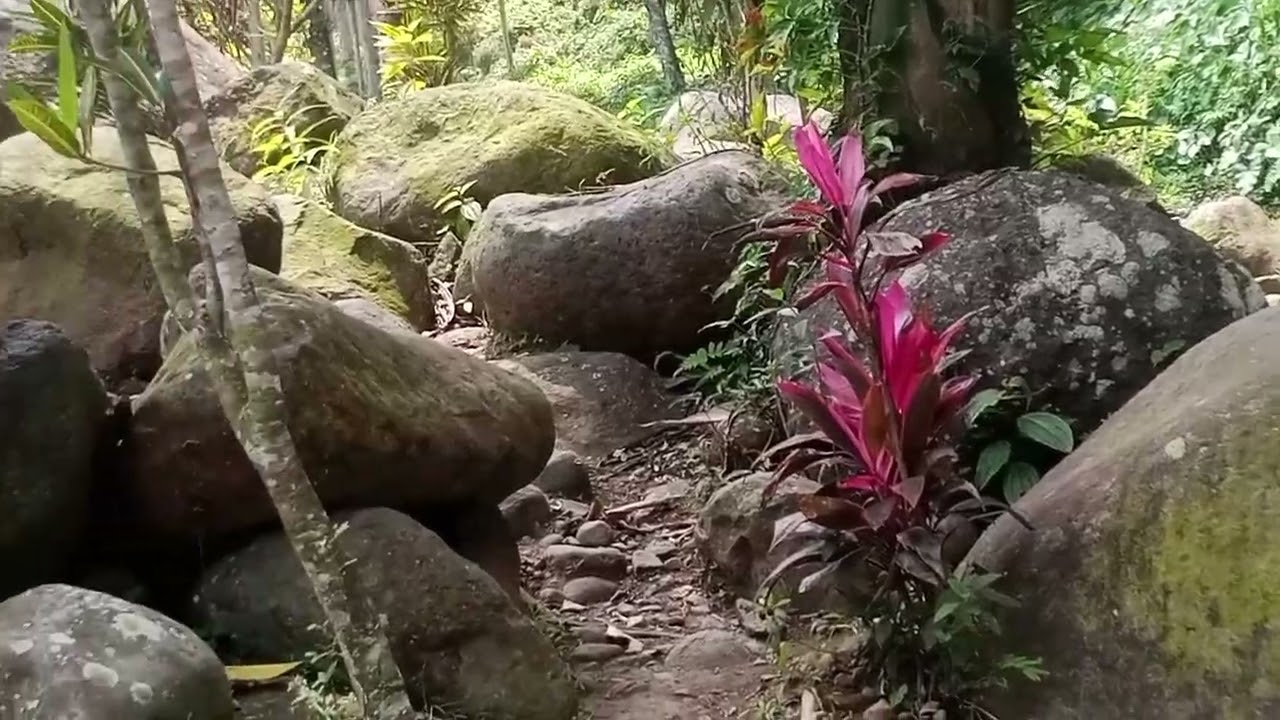 Kalijompo didesa Klungkung kec sukorambi,riverside dirambangan kec Arjasa dan Tirta Amertha rajasa