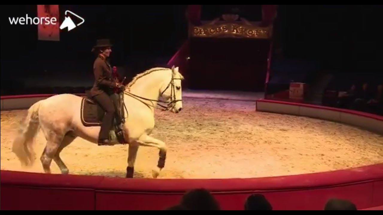 Fachtagung der Anja Beran Stiftung  im November 2018 in München