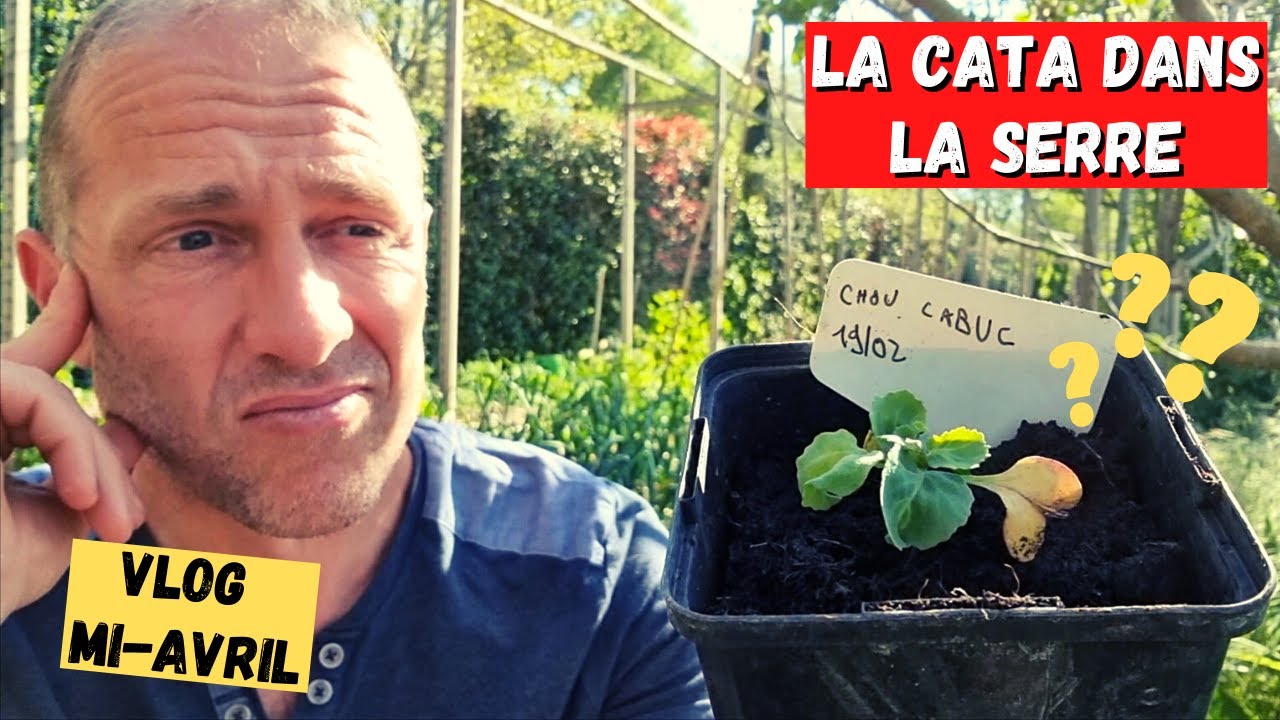 Mi-avril au potager ► Semis en difficulté - Carottes - Pipi - Tomates - Haricots...
