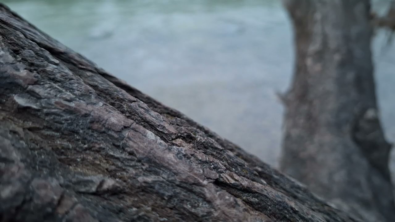 Holding While It Moves