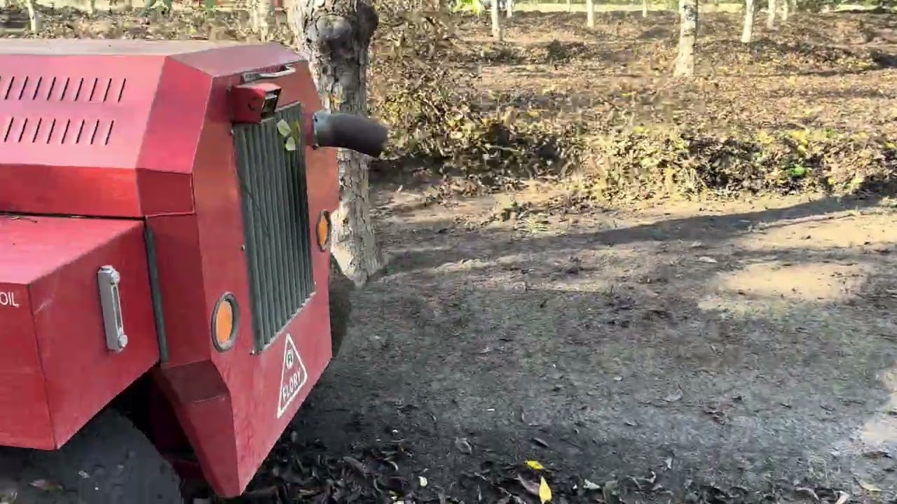 Flory 34 series sweeper with pecans