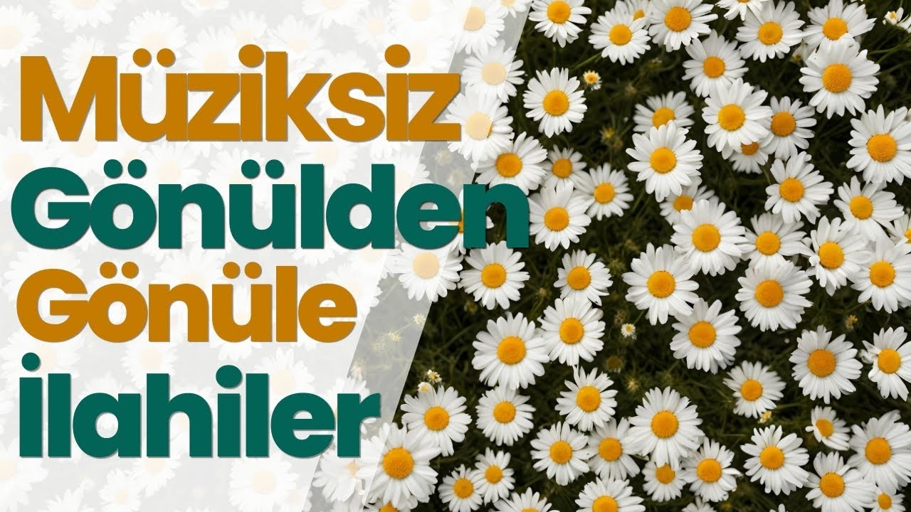 🌸🌸 Müziksiz Gönülden Gönüle İlahiler 🌸🌸 #müziksizilahiler #engüzelilahiler