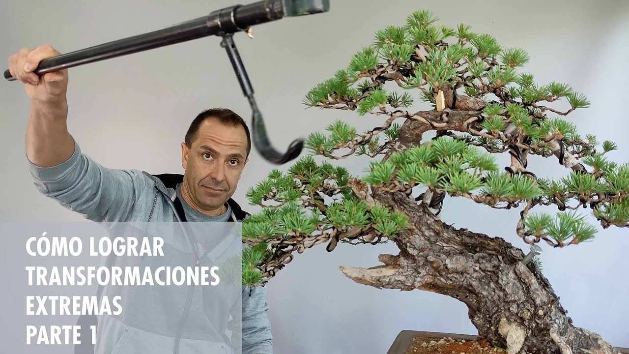 Cómo lograr una transformacion extrema. Parte 1