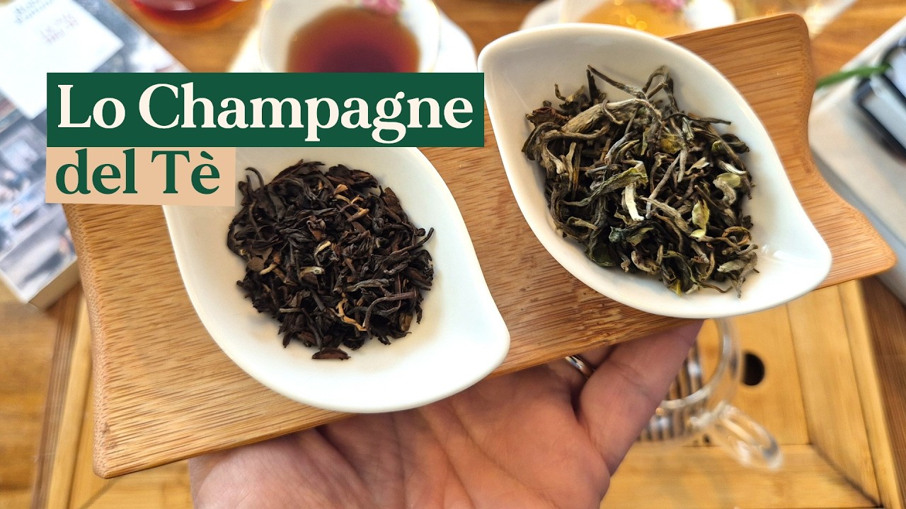 First Flush vs Second Flush. Assaggiamo insieme il Darjeeling: lo 