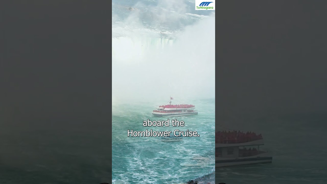 Toronto To Niagara Falls Day and Evening Tour 2024 | ToNiagara