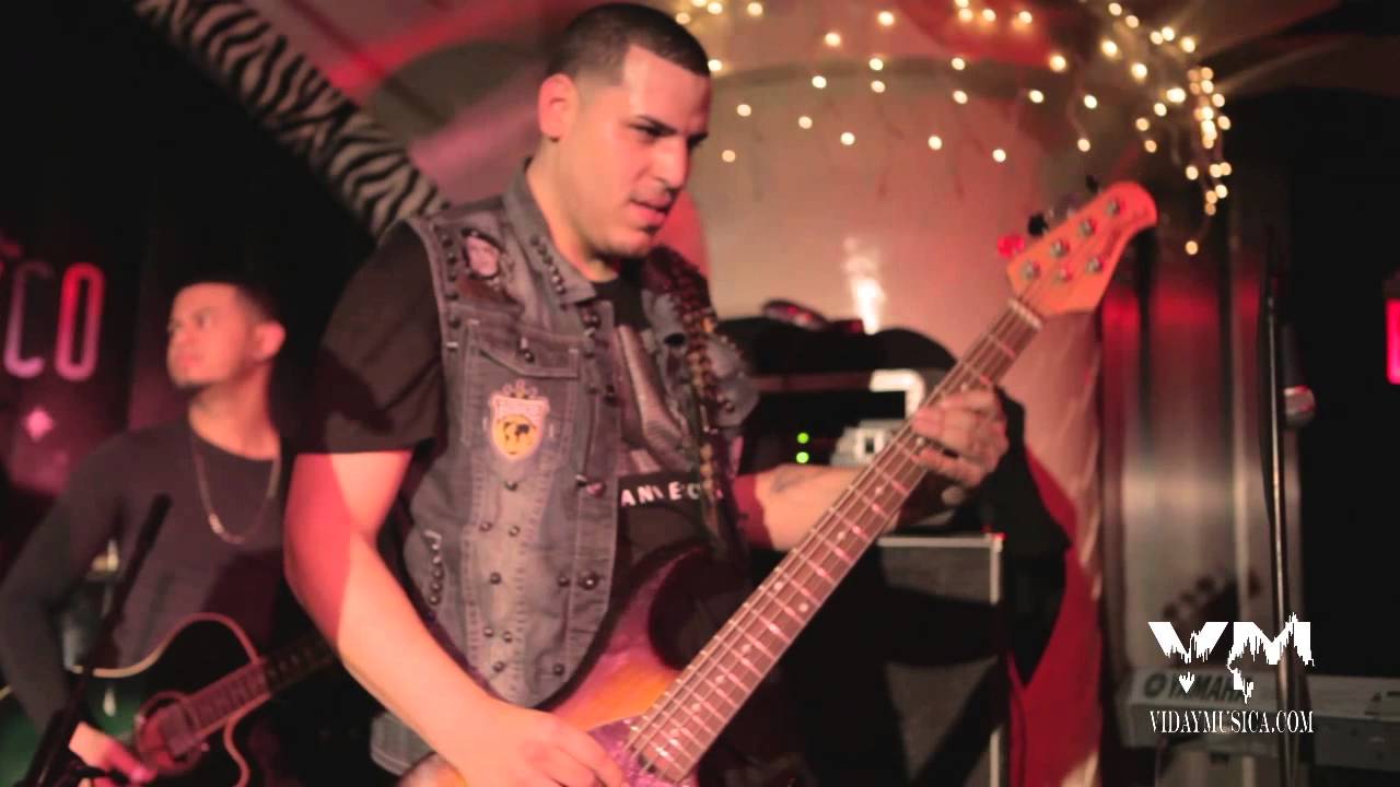 Vena - Party Rock Anthem Live